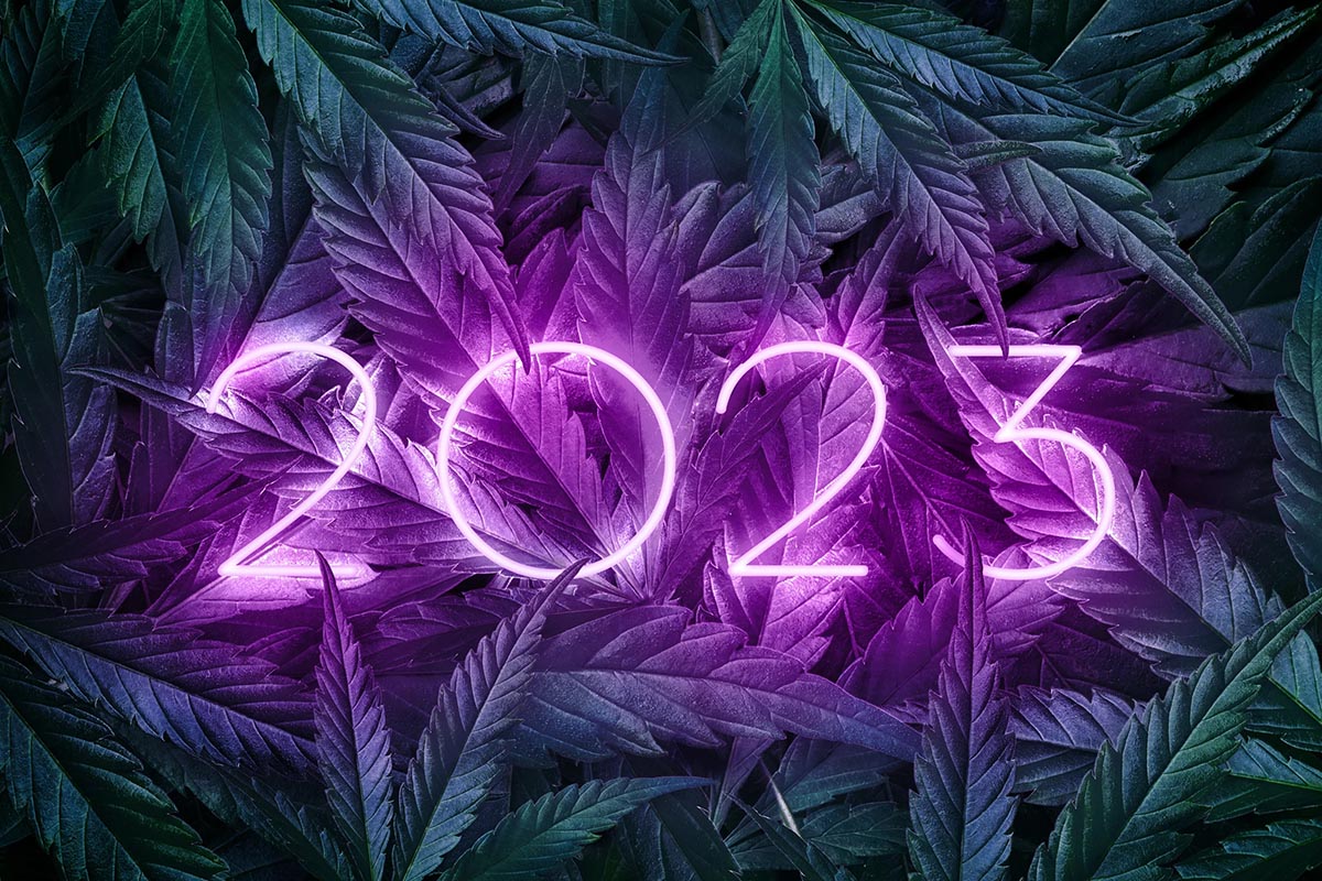 Top 3 Trends to Expect in the Cannabis Industry This 2023